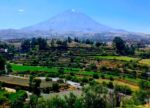 CAMPIÑA TOUR EN BUS PANORÁMICO