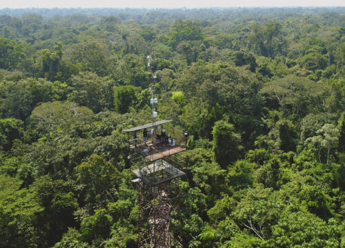 WILD AMAZON EXPEDITION WTE 5/4