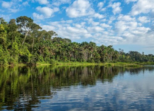 AMAZON EXPEDITION TAMBOPATA AMAD 4/3