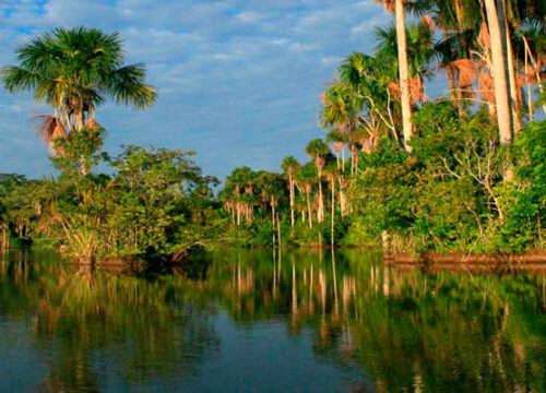 AMAZON EXPEDITION TAMBOPATA